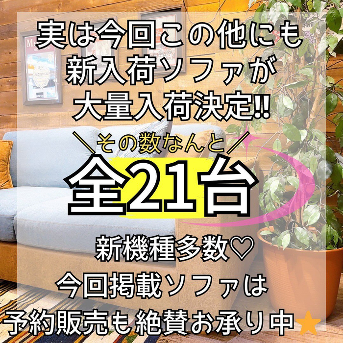 画像5530