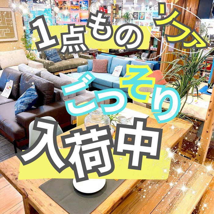 画像5542