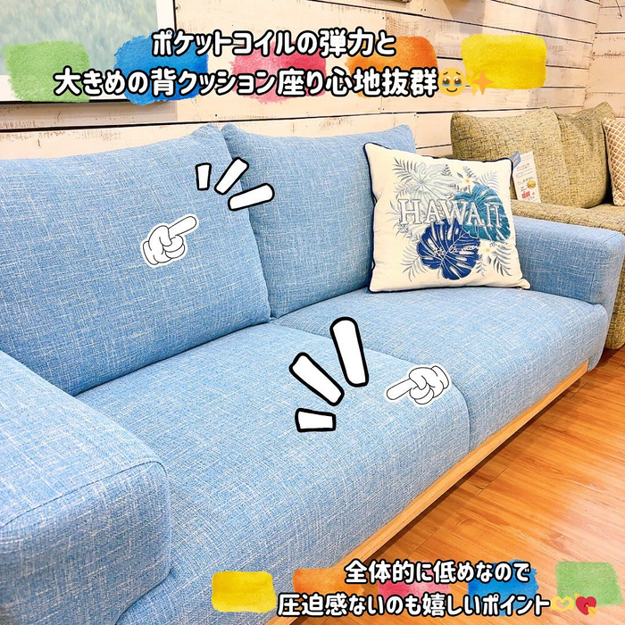 画像5569