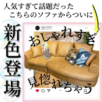 画像5623