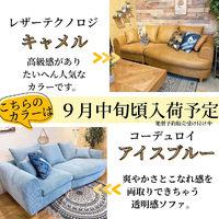 画像5629