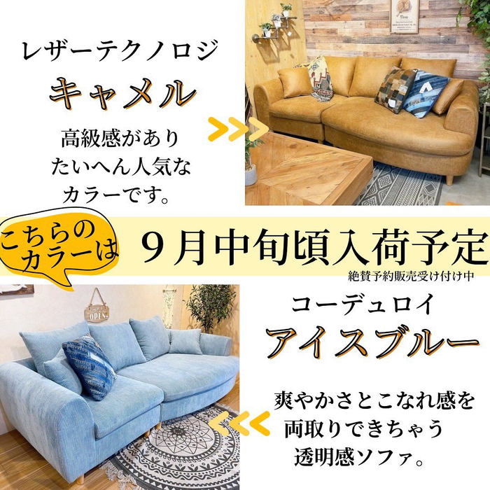 画像5629