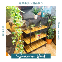 画像5644