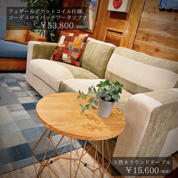 画像5681