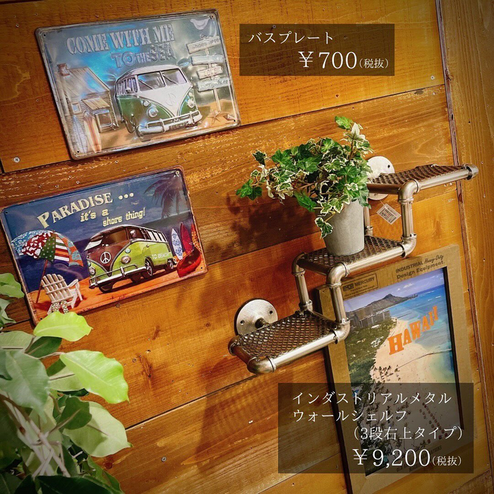 画像5686