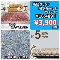 画像5723