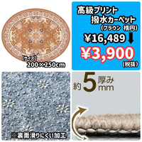画像5724