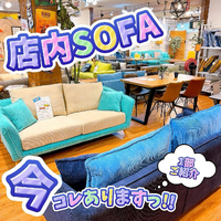 画像5842