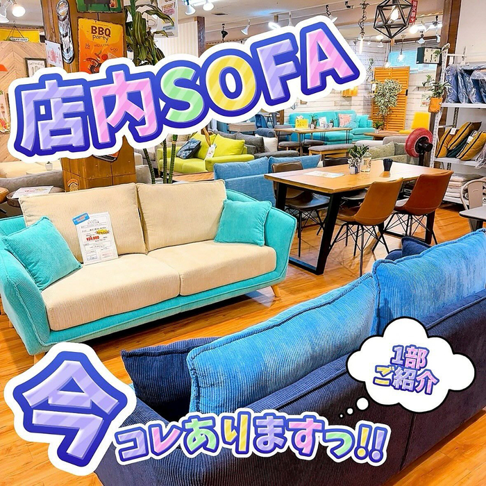 画像5842