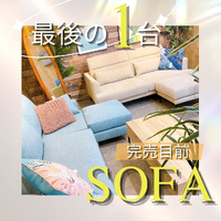 画像5894