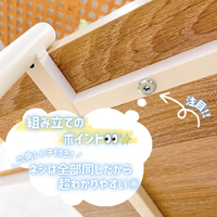 画像5935