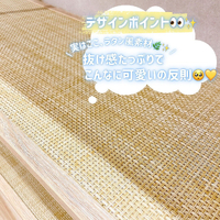 画像5936