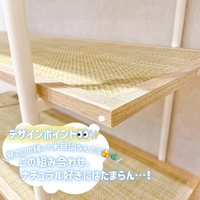 画像5937