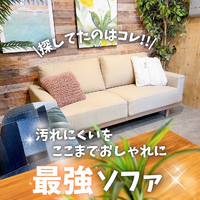 画像6031