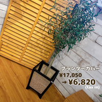 画像6048
