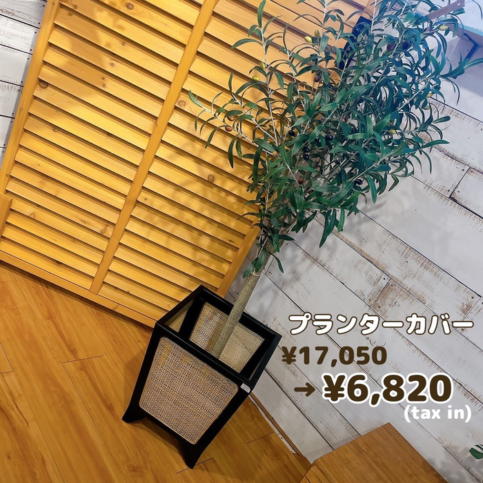 画像6048