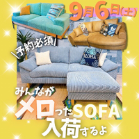 画像6257