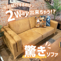 画像6359