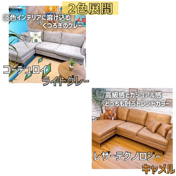 画像6434