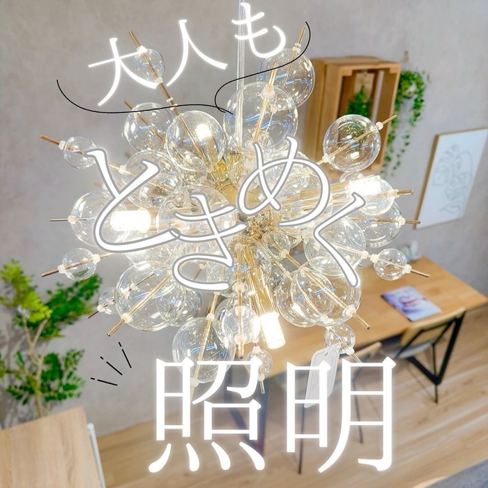 画像6438