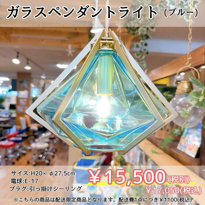 画像6439