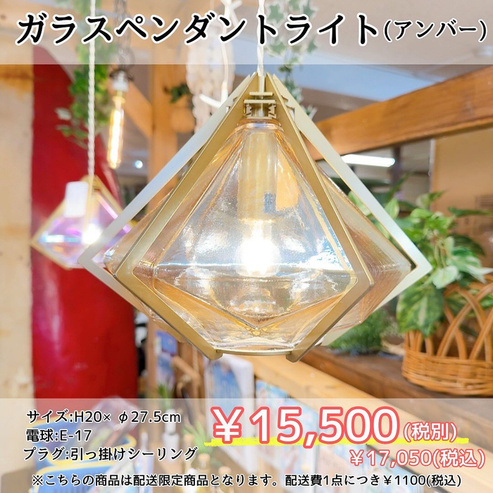 画像6442