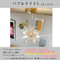 画像6447