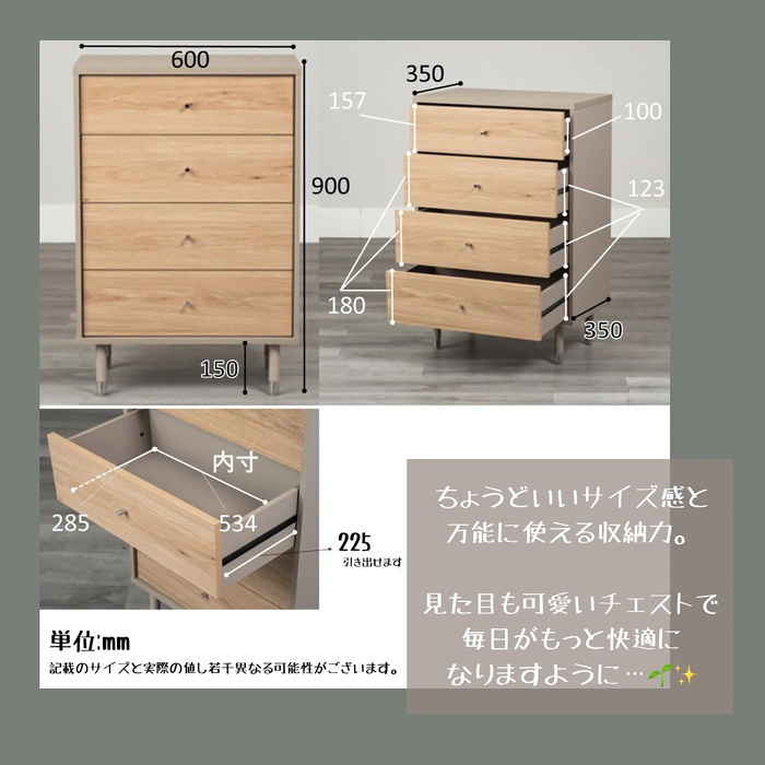 画像6527