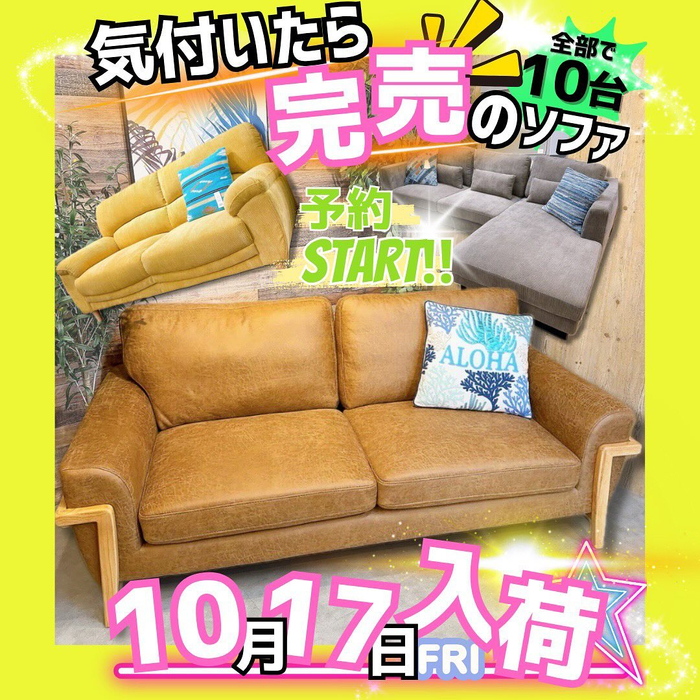 画像6565
