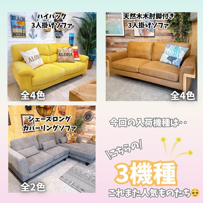 画像6579