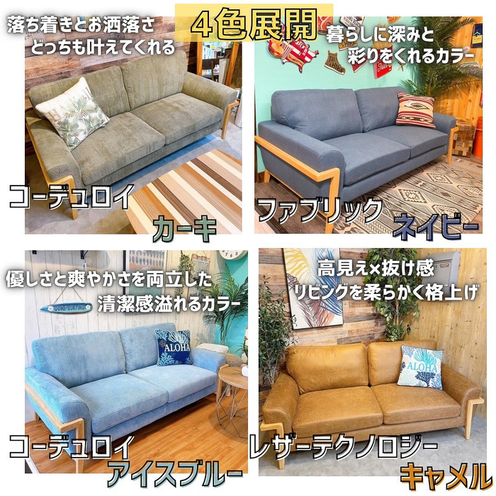 画像6584