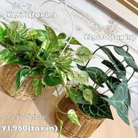 画像6651