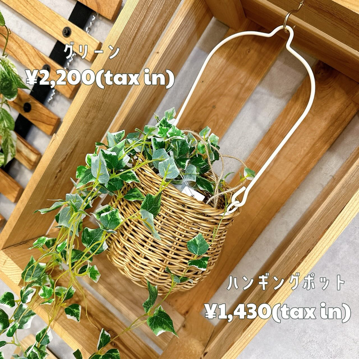 画像6652