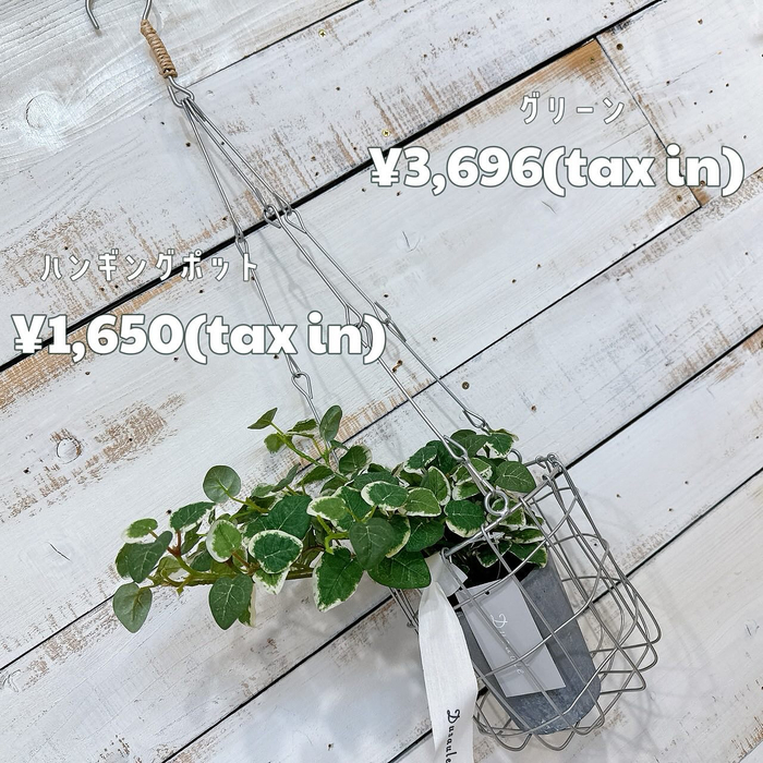 画像6658