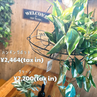 画像6659
