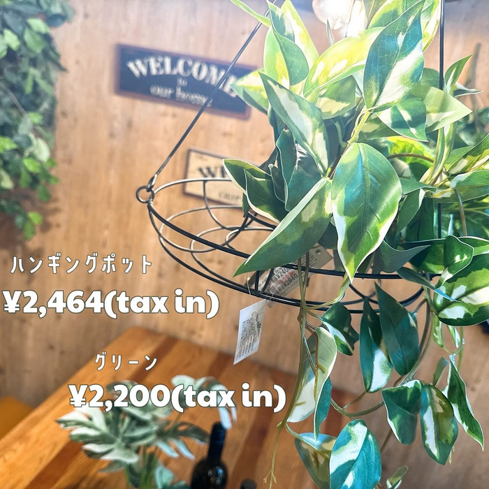 画像6659