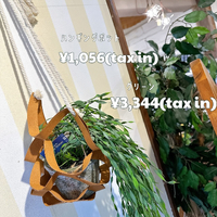 画像6660