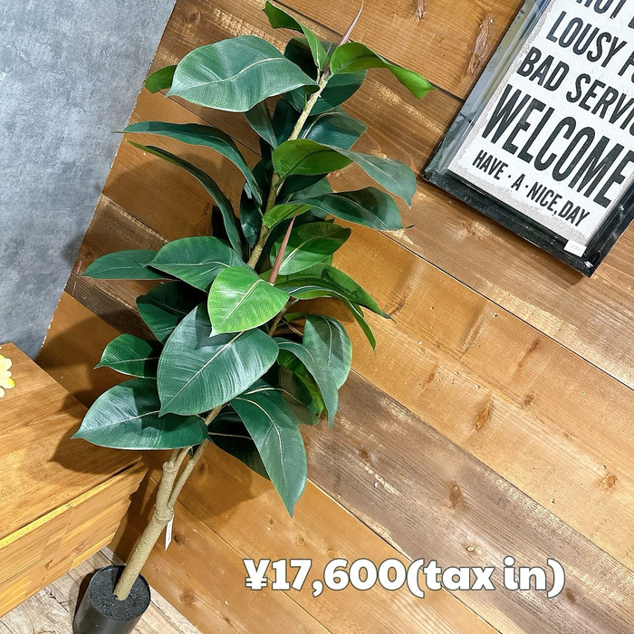 画像6661