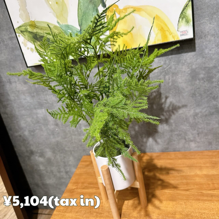 画像6662