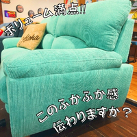 画像6681