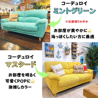 画像6684