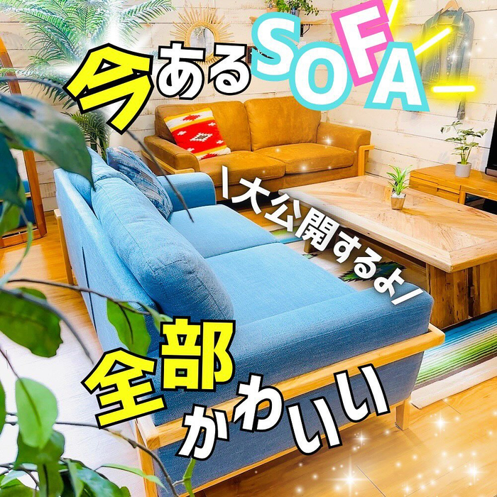 画像6739