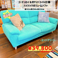 画像6741