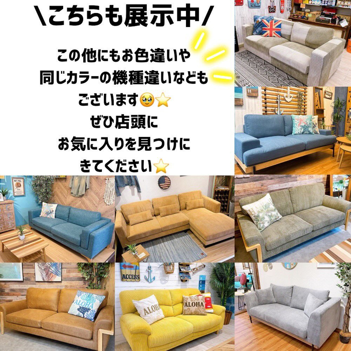 画像6753