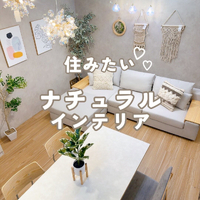 画像7079
