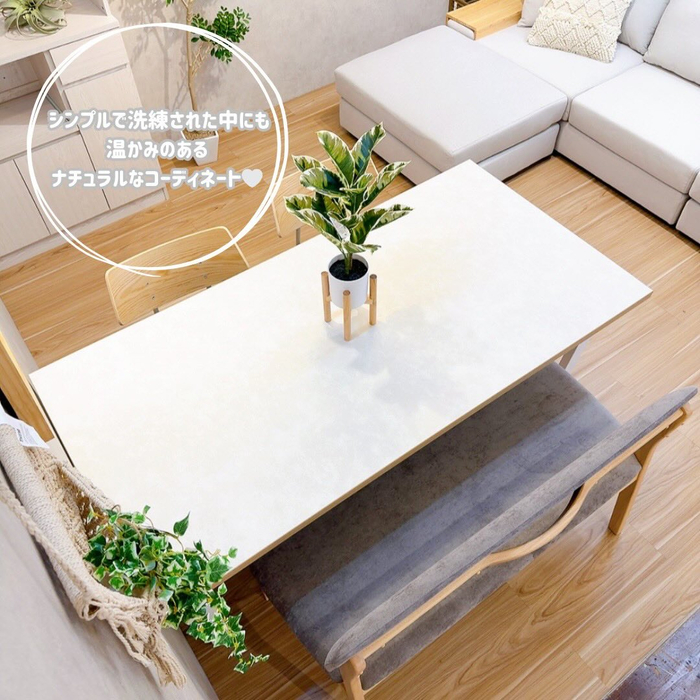 画像7084