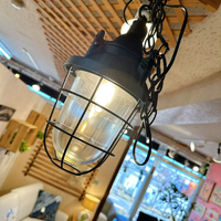 画像7129