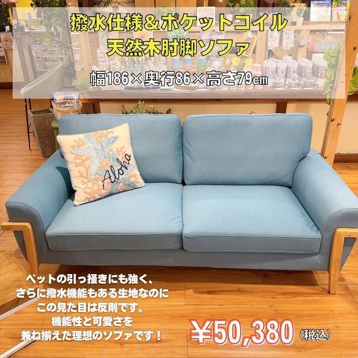 画像7217