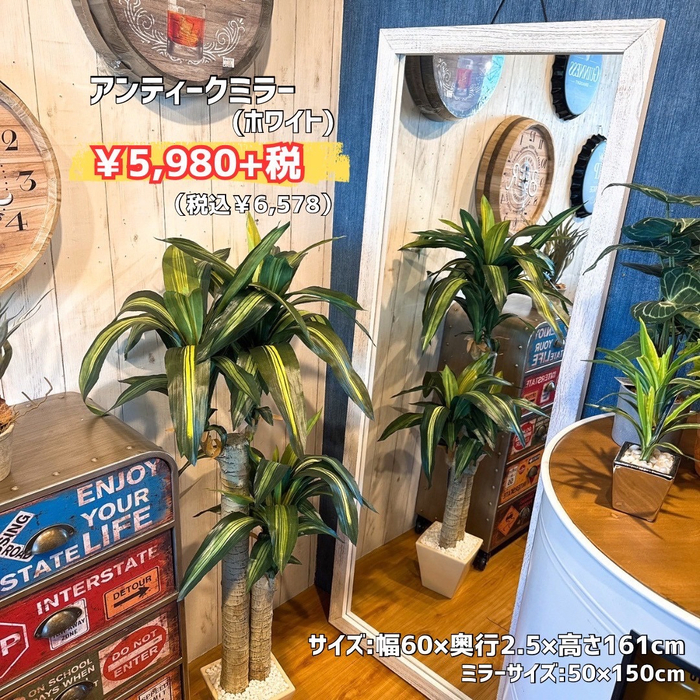 画像7258