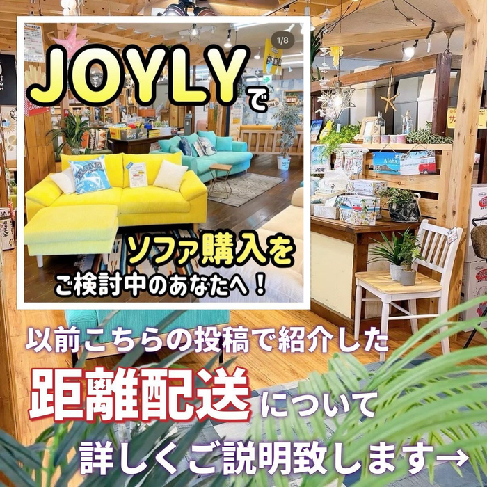 画像7289